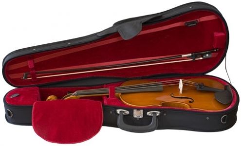 S. Eastman Viola Outfit, 14"