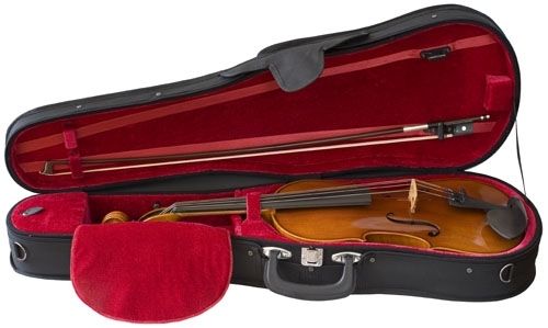 S. Eastman Viola Outfit, 15.5"