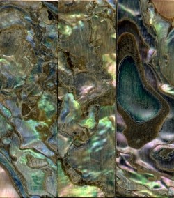 Abalone Cello Slide, heart