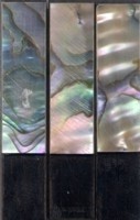 Abalone Cllo Sld, flamed,lined