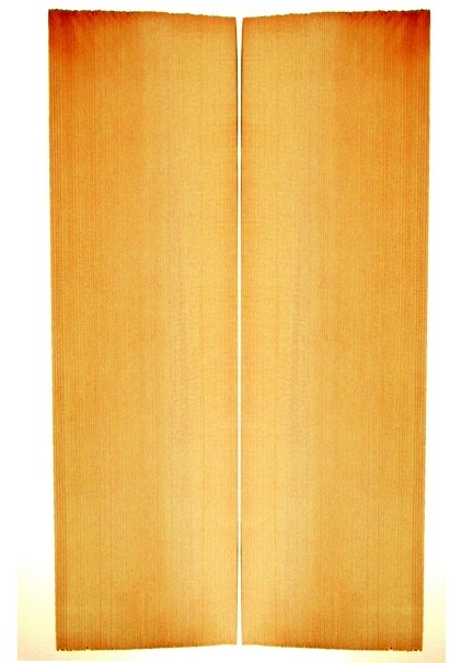 Alpine Spruce Vln. Top, select, 2007
