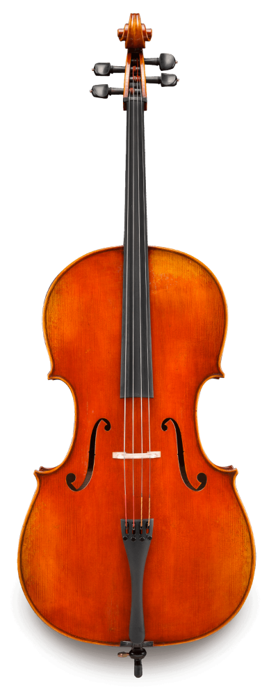 31-D703front.png