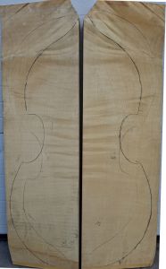 maple-bass-back-49-320.jpg