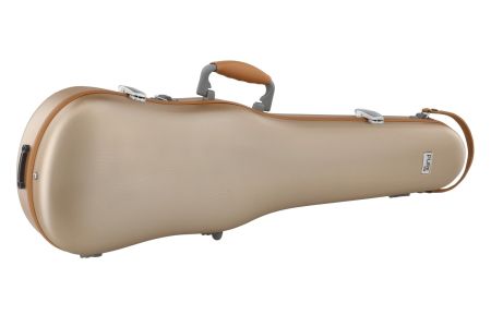 255G.jpg